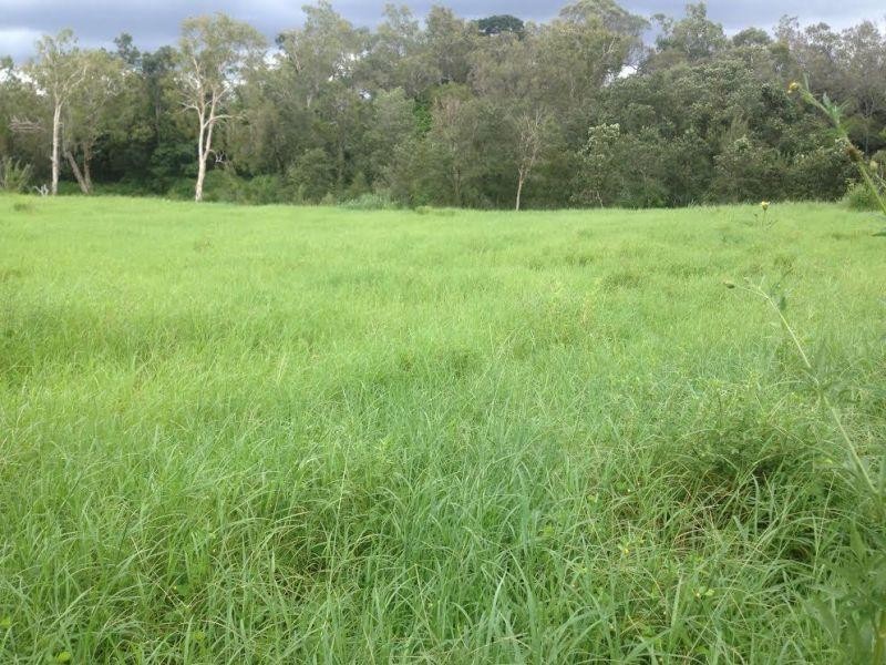 Clairview QLD 4741