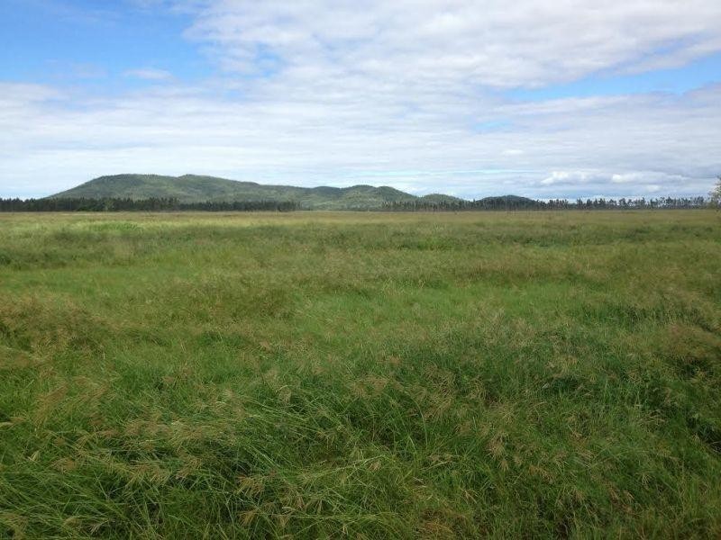 Clairview QLD 4741