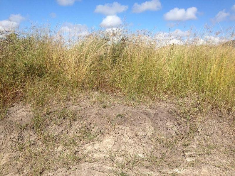 Clairview QLD 4741