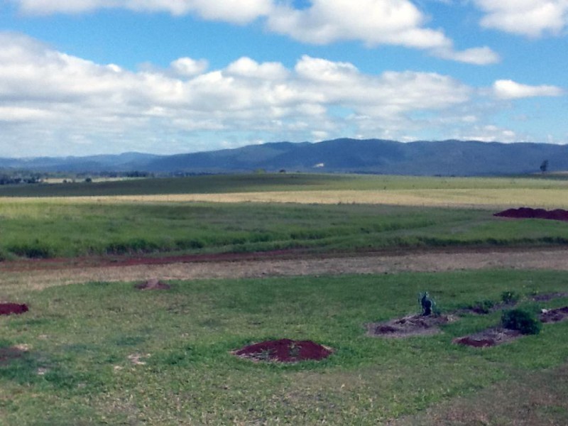 Tarzali QLD 4885