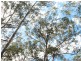 Tarzali QLD 4885