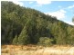 Colo Heights NSW 2756