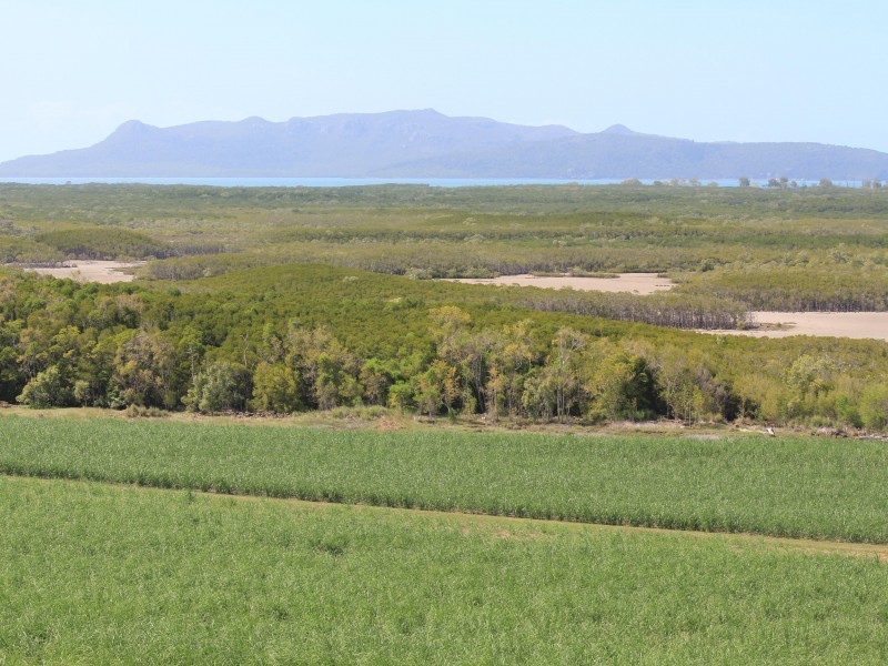 Habana QLD 4740