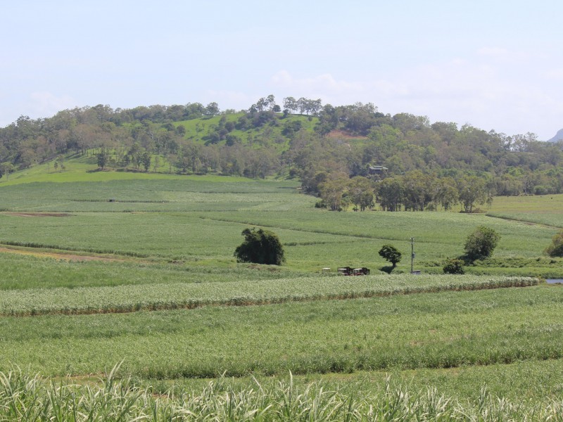 Habana QLD 4740