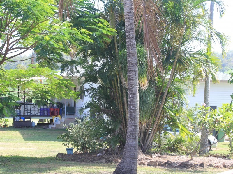Habana QLD 4740