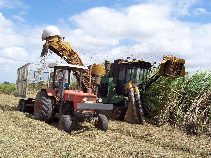 Habana QLD 4740