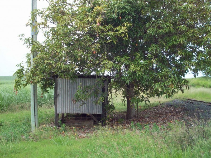 Habana QLD 4740