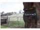 Pinkett NSW 2370