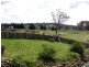 Pinkett NSW 2370