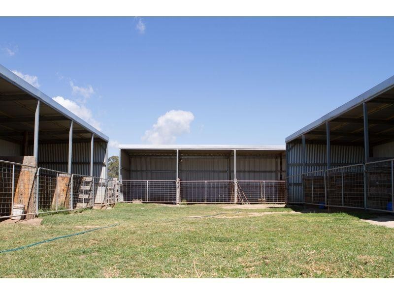 Pinkett NSW 2370