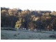 Pinkett NSW 2370