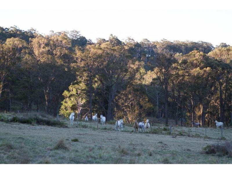 Pinkett NSW 2370