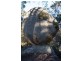 Pinkett NSW 2370