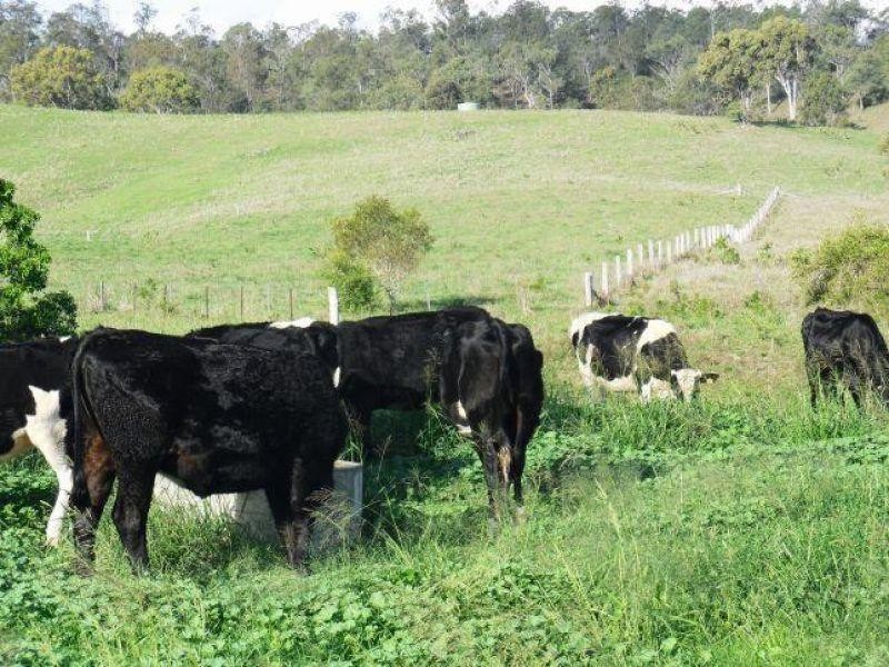 Woowoonga QLD 4621