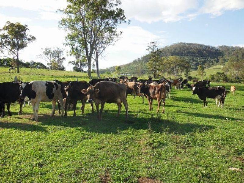 Woowoonga QLD 4621