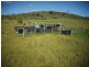 Blackbutt QLD 4306
