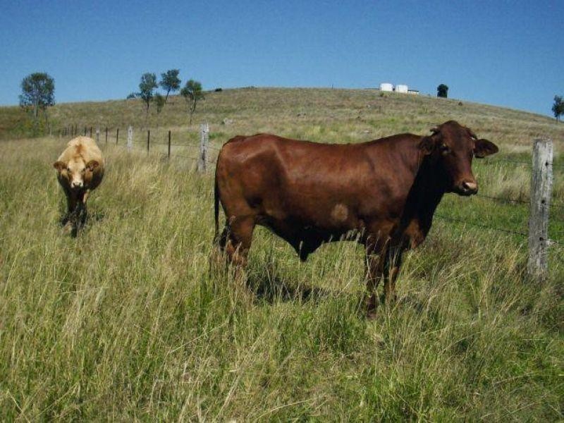 Blackbutt QLD 4306