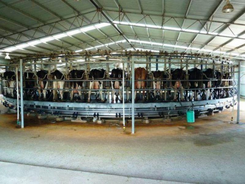 Mount Mcintyre SA 5279