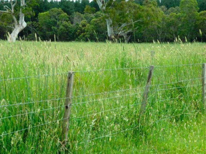 Mount Mcintyre SA 5279