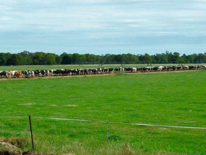 Mount Mcintyre SA 5279