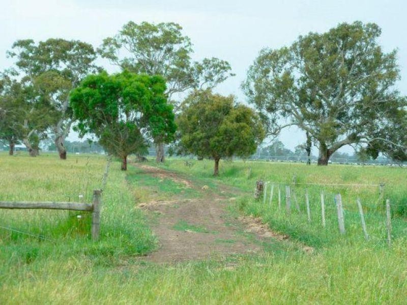 Mount Mcintyre SA 5279