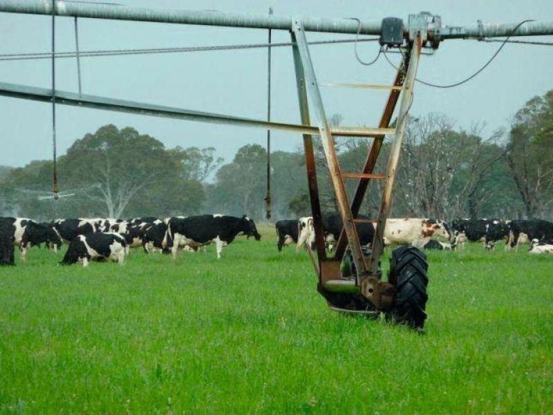 Mount Mcintyre SA 5279