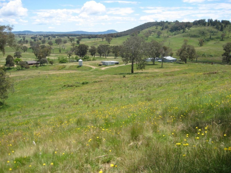 Mudgee NSW 2850
