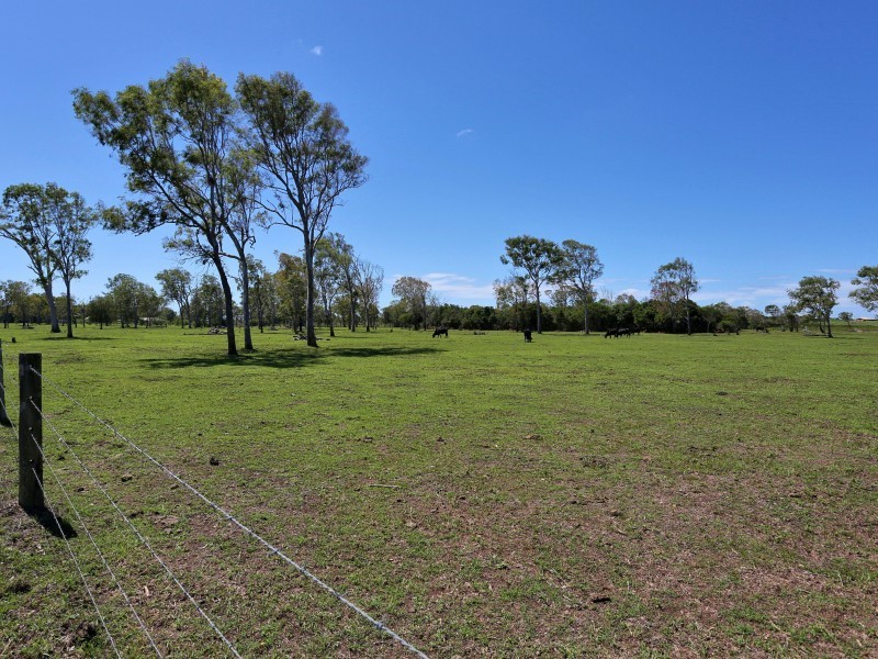 Rubyanna QLD 4670
