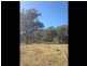 Stannum NSW 2371