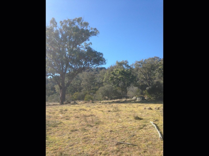Stannum NSW 2371