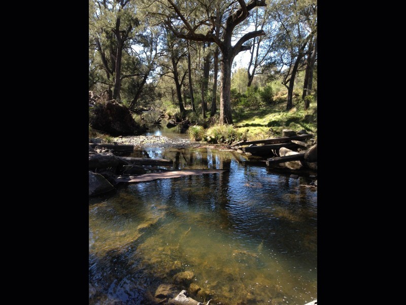 Stannum NSW 2371
