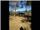 Stannum NSW 2371