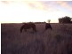 Talgai QLD 4362