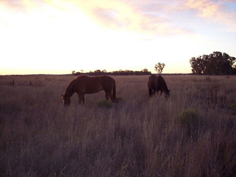 Talgai QLD 4362