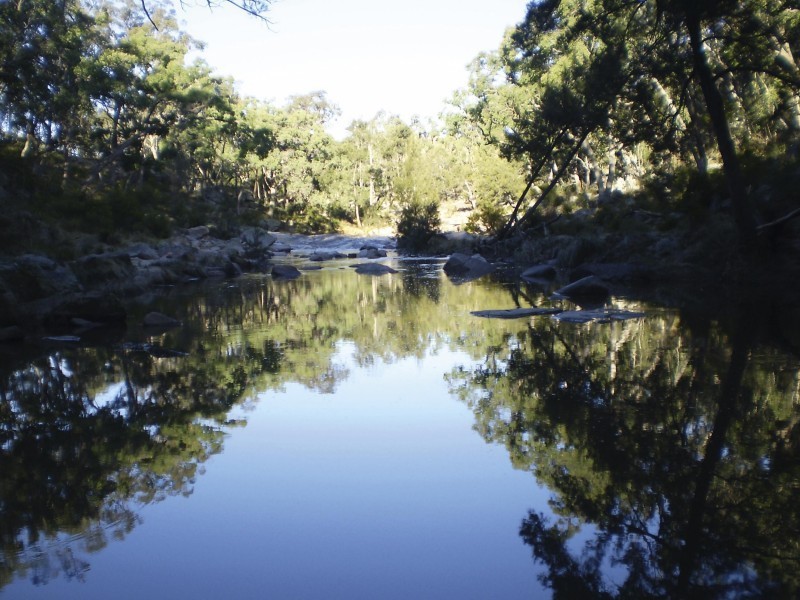 Tenterfield NSW 2372