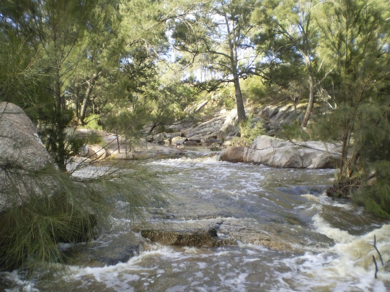 Tenterfield NSW 2372