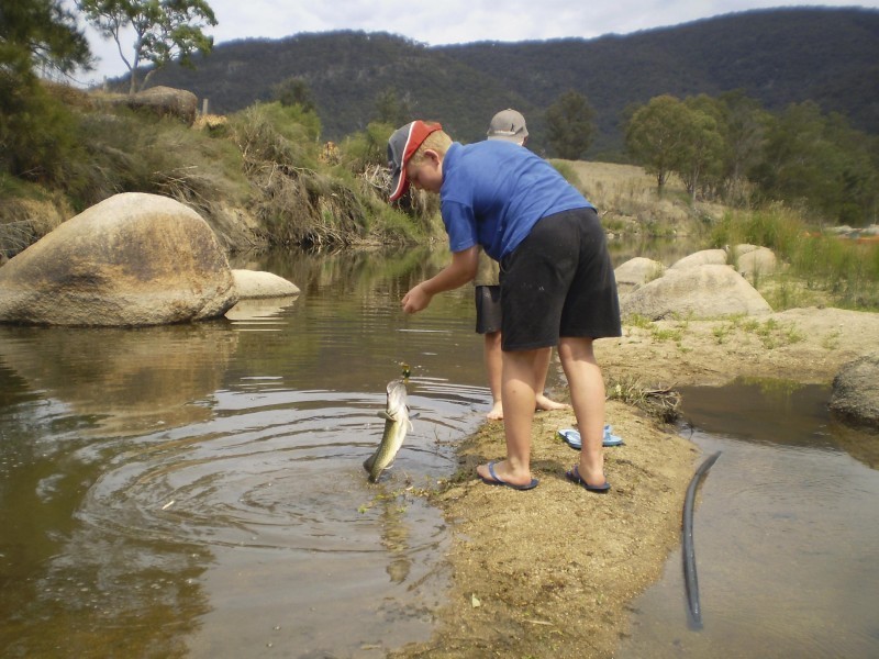 Tenterfield NSW 2372
