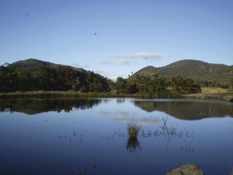 Tenterfield NSW 2372