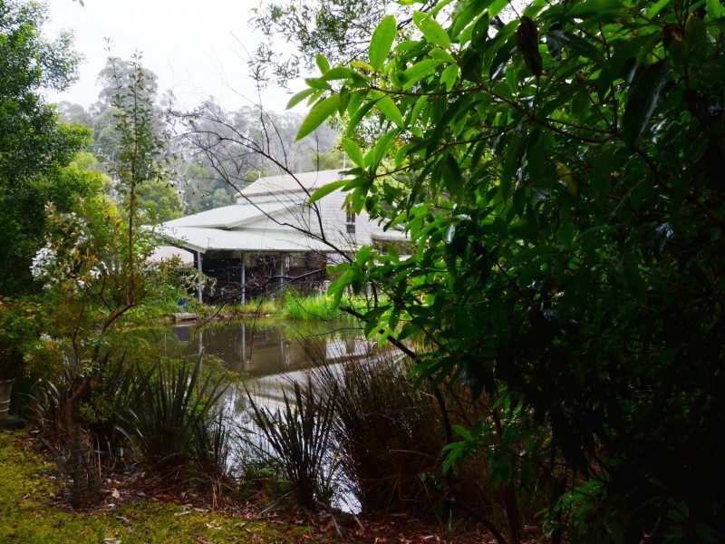 Cabbage Tree Creek VIC 3889