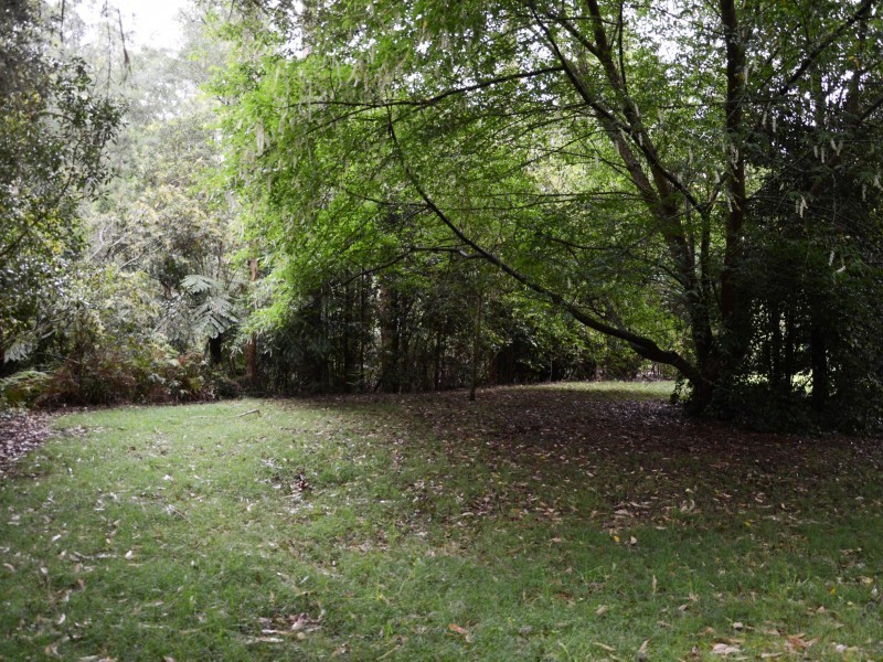 Cabbage Tree Creek VIC 3889