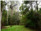 Cabbage Tree Creek VIC 3889
