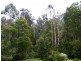 Cabbage Tree Creek VIC 3889