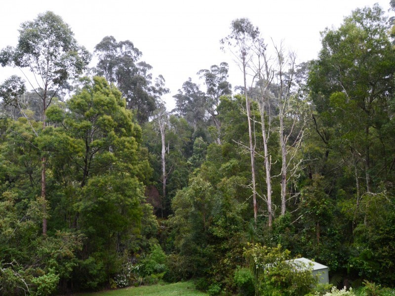 Cabbage Tree Creek VIC 3889