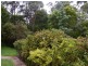 Cabbage Tree Creek VIC 3889