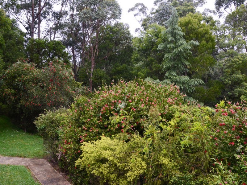 Cabbage Tree Creek VIC 3889