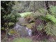 Cabbage Tree Creek VIC 3889