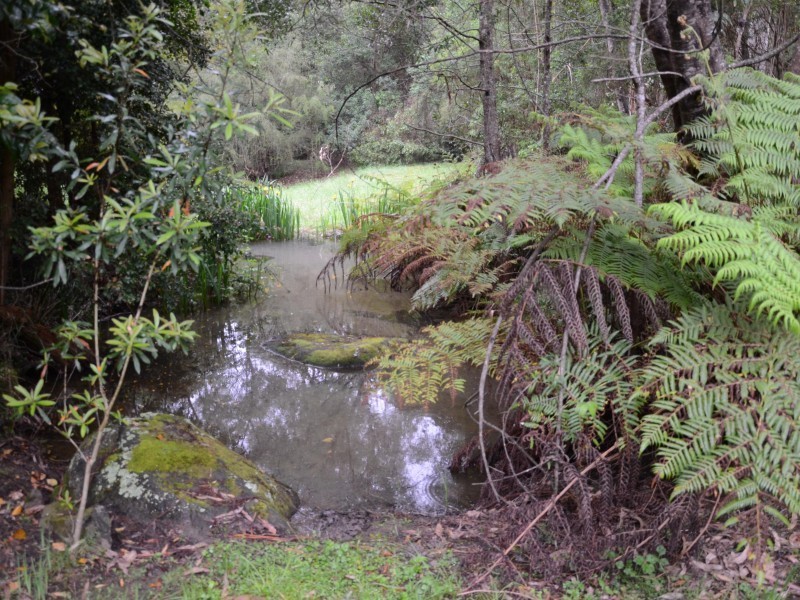 Cabbage Tree Creek VIC 3889