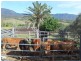 Thornton QLD 4341