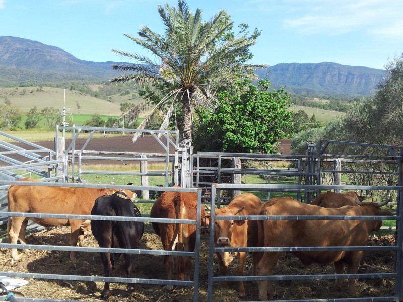 Thornton QLD 4341