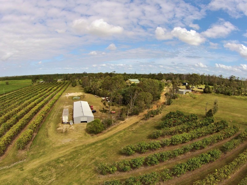 Welcome Creek QLD 4670